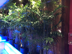 Gallery 4