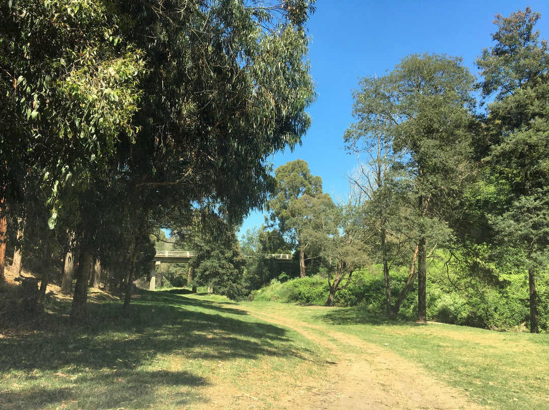 Toora旅游景点-Franklin River Reserve