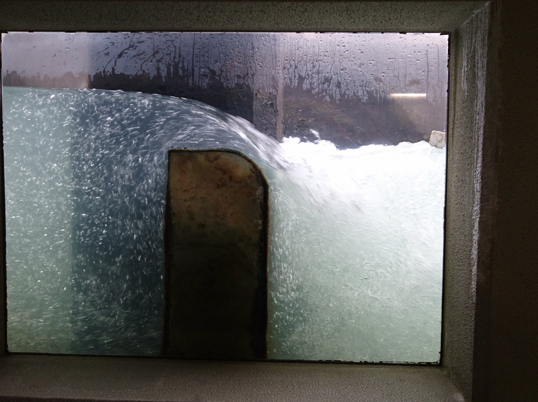 Toneozeki-行田市必去景点