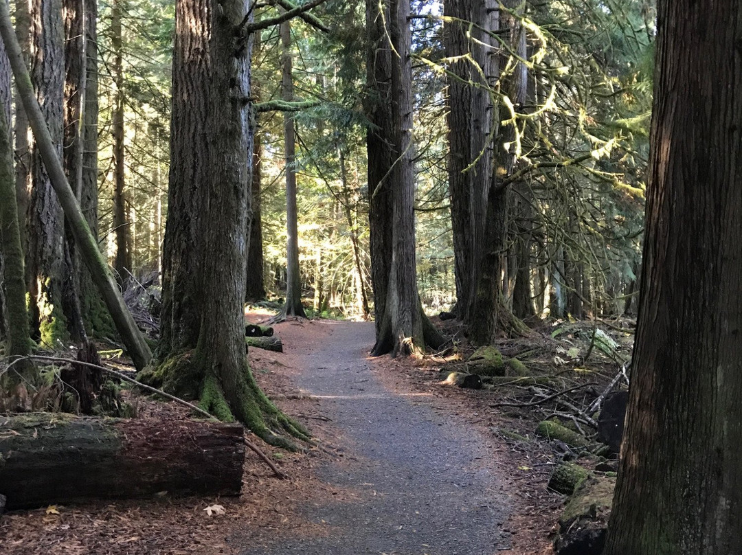 West Shawnigan Lake Provincial Park景点图片
