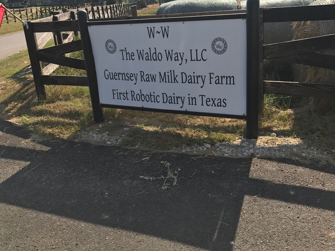 The Waldo Way Dairy Farm-Mineola必去景点