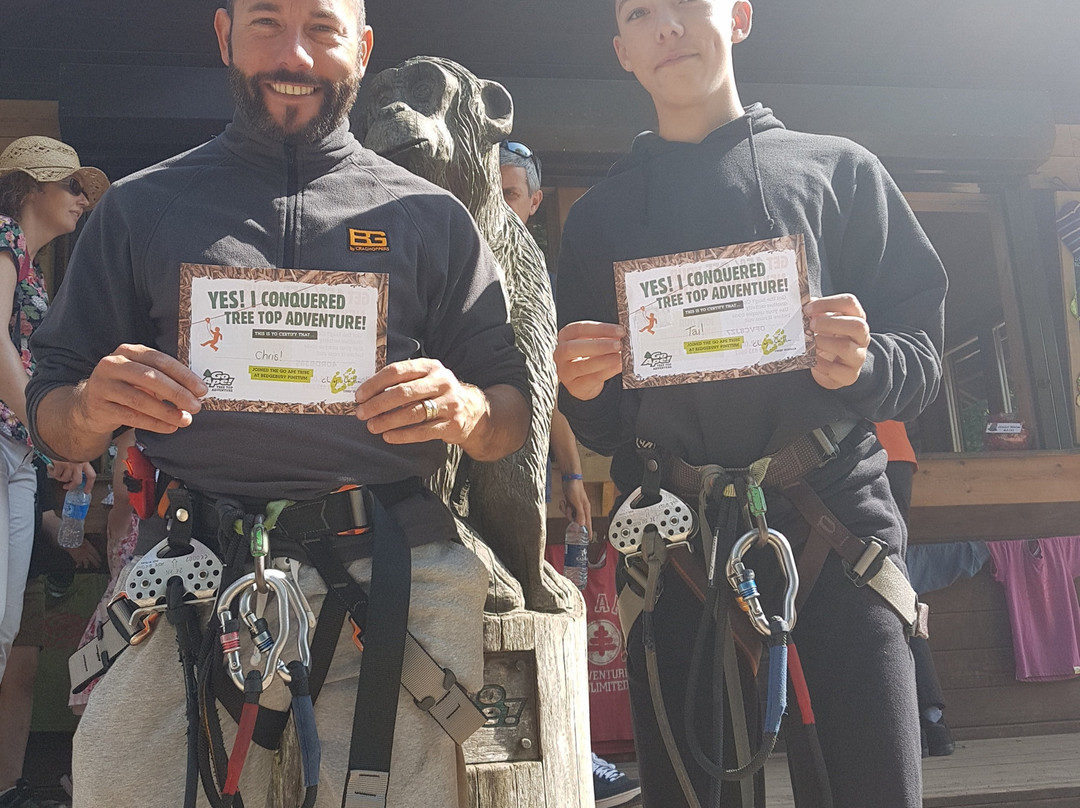 Go Ape Bedgebury景点图片