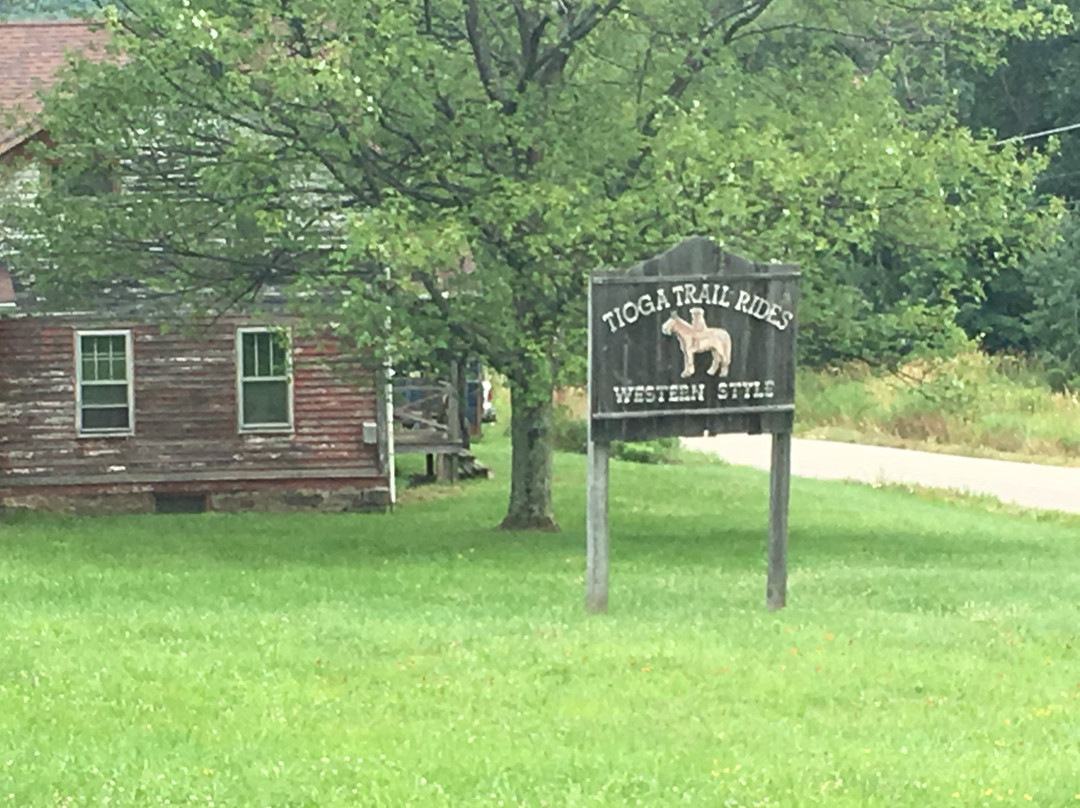 Tioga Trail Rides景点图片