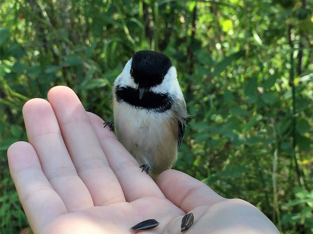 Beaver Creek Conservation Area-萨斯卡通必去景点