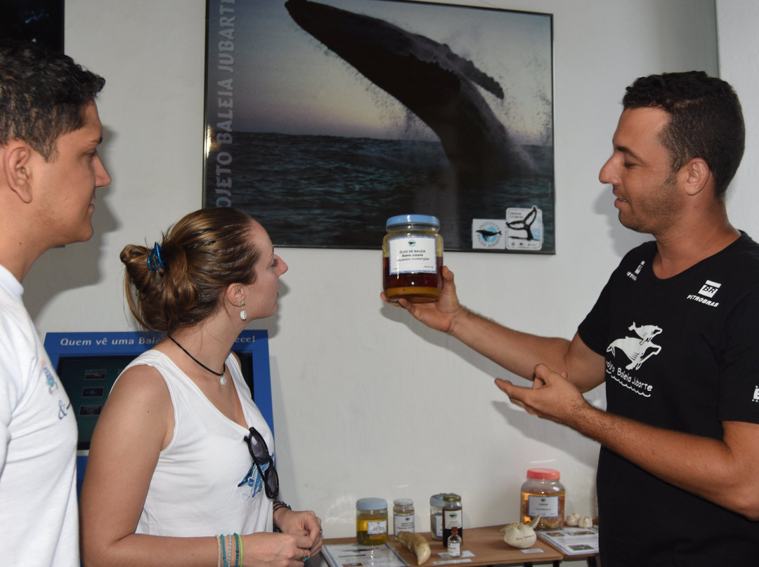 Instituto Baleia Jubarte - Patrocínio Petrobras-Caravelas必去景点