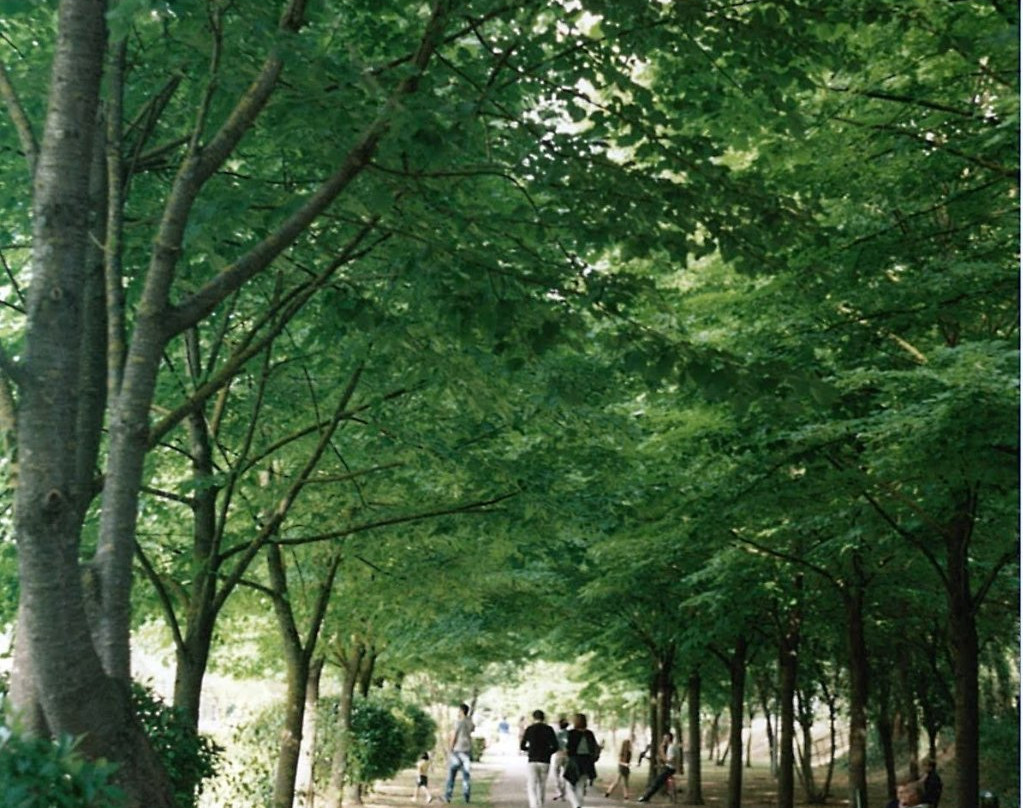 Parco Le Grazie景点图片