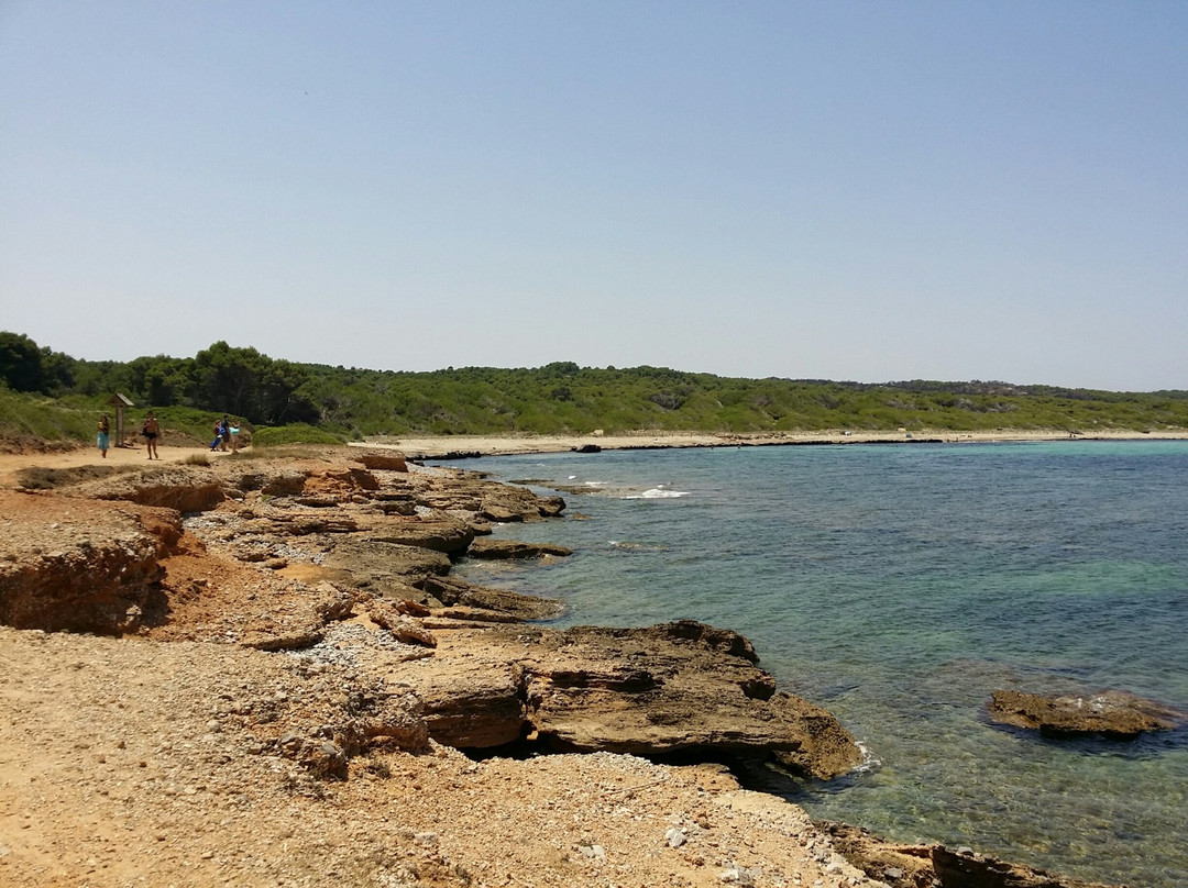Sa Canova Beach-Campos必去景点