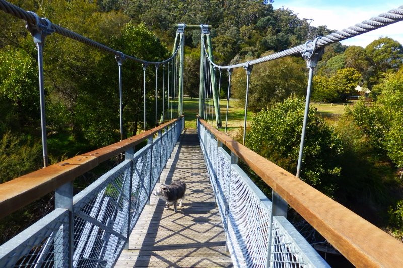 Tumut Region Visitor Centre景点图片