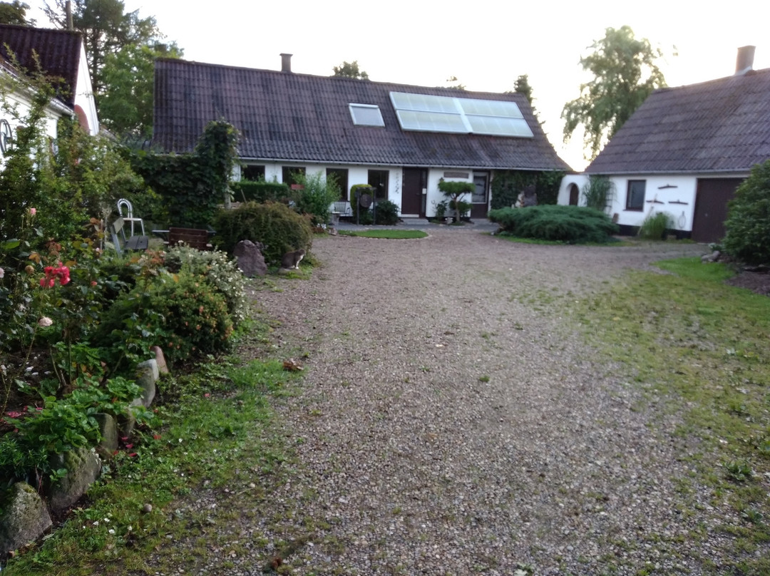 Osterlund Bed and Breakfast
