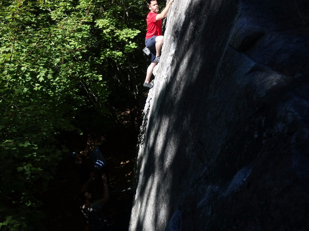 Bouldering Bus-西雅图必去景点