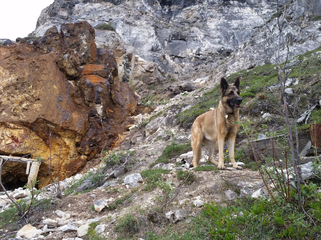 Rambler Mine Trail-Nabesna必去景点