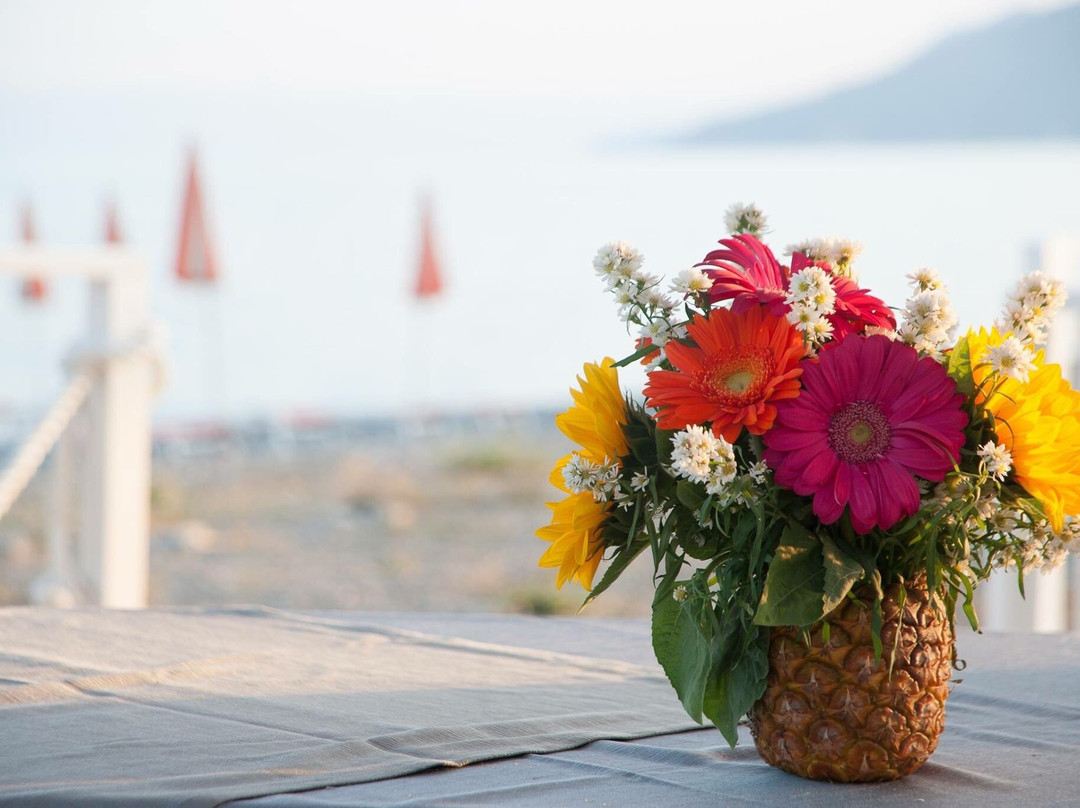 White Cilento Beach Club-Capitello必去景点