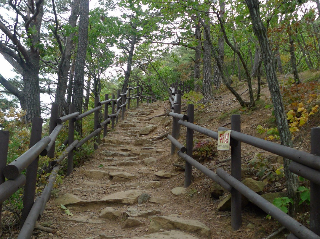 Mt. Chungryang Hiking trails-奉化郡必去景点