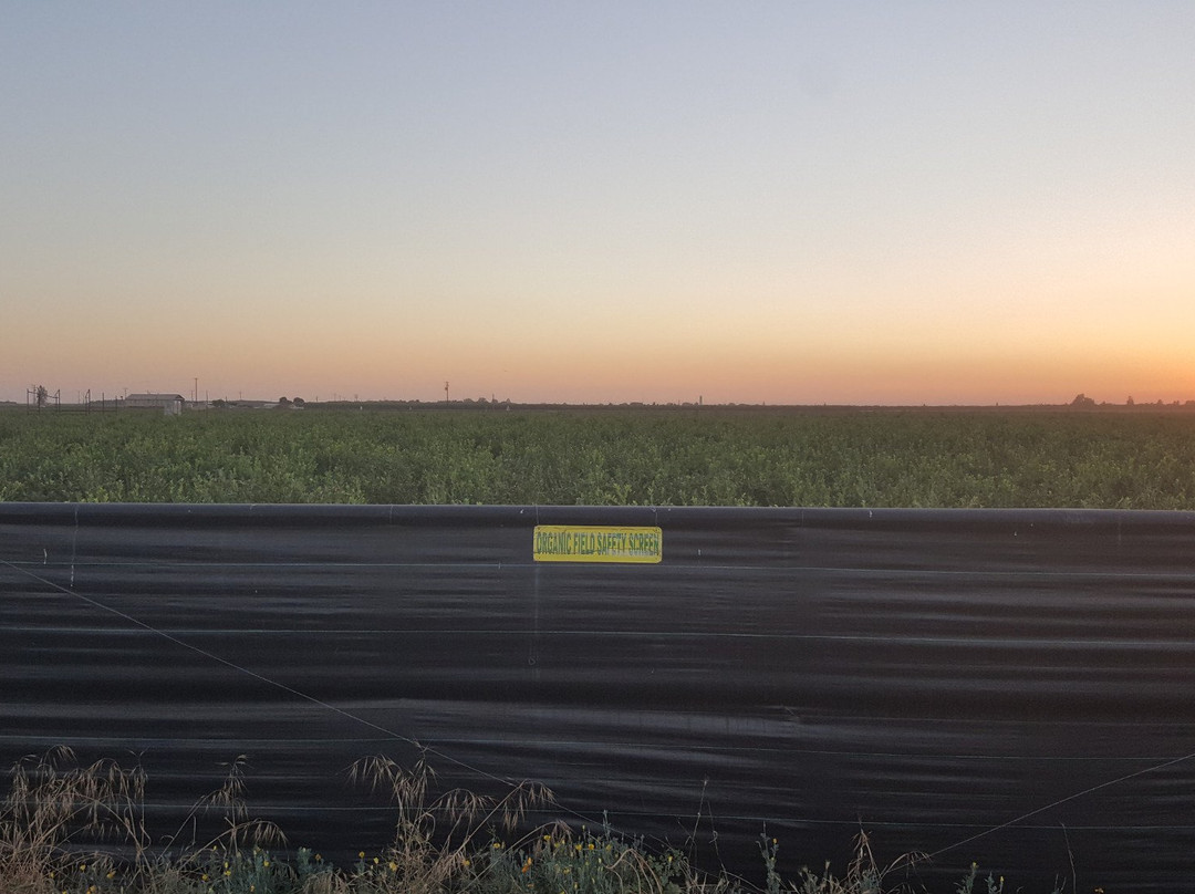 Tabitha Max Blueberry Farm-波特维尔必去景点