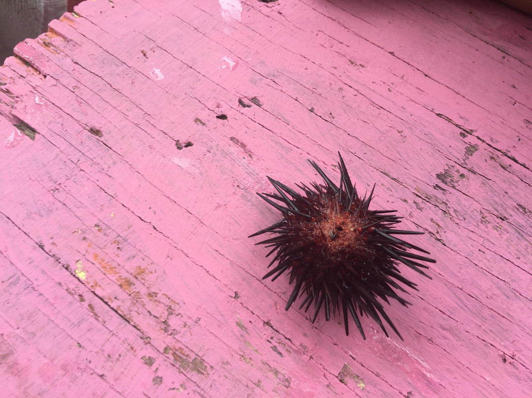 Palenque Beach-San Cristobal必去景点