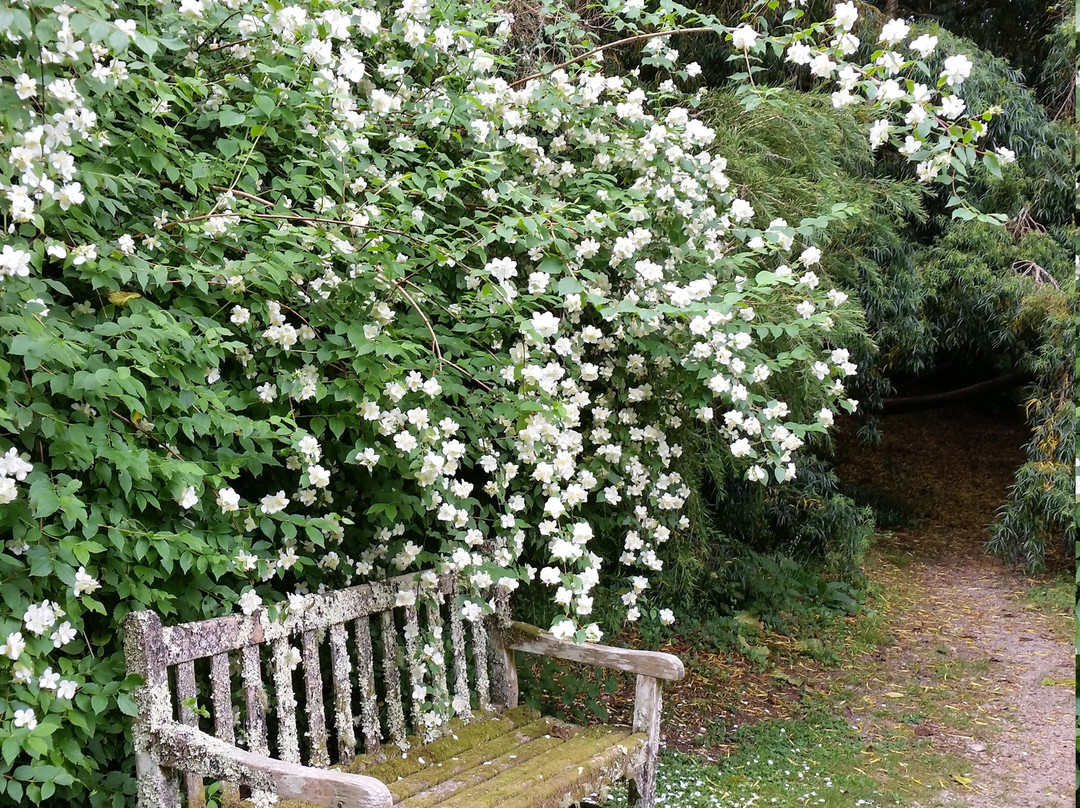 Penjerrick Garden-法尔茅斯必去景点