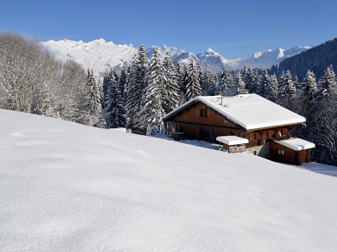 Chalet Les Pellys