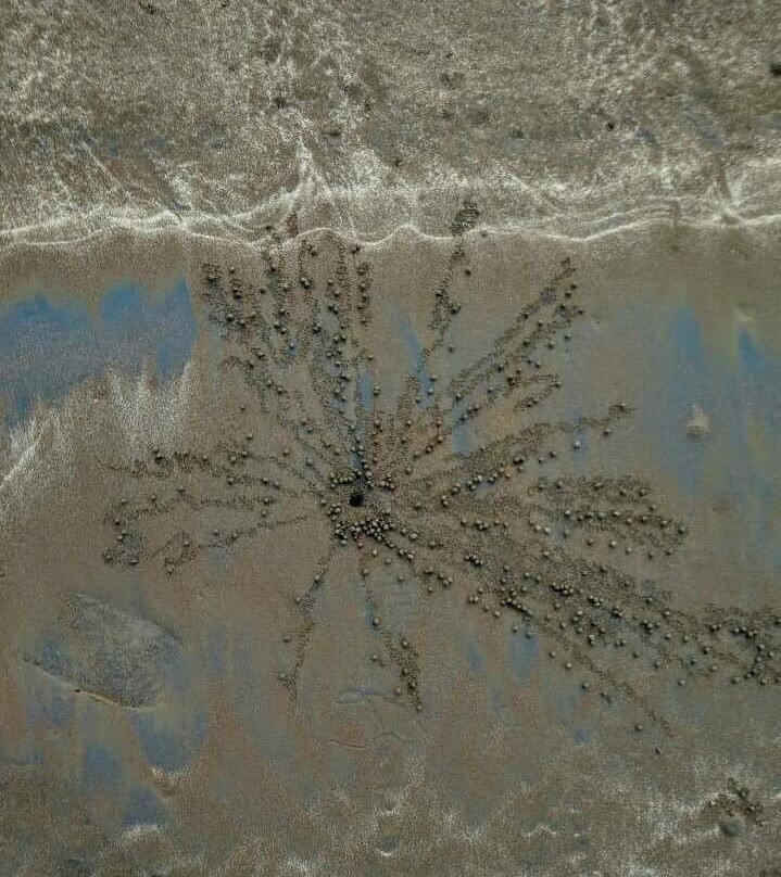 Awas Beach景点图片
