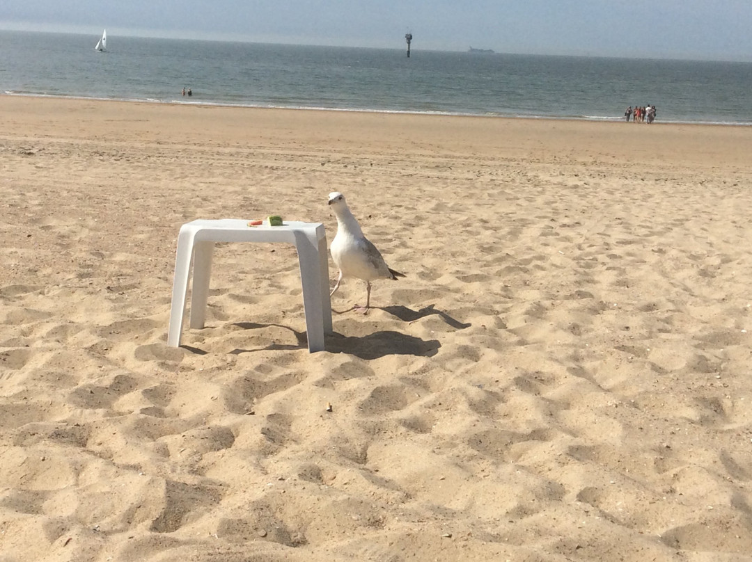 卢加诺酒店主图