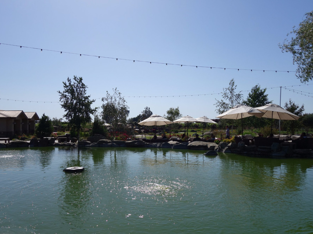 Michael David Vineyards-洛迪必去景点