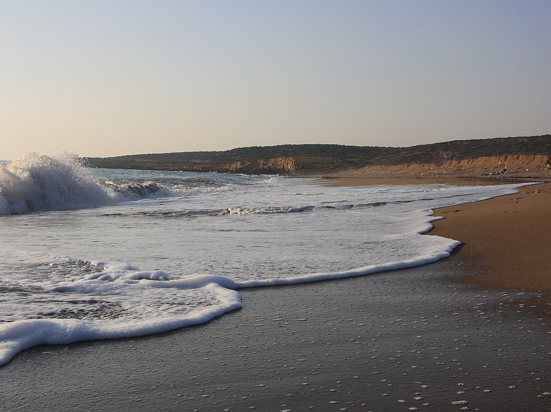 Toxeftra Beach-帕福斯必去景点