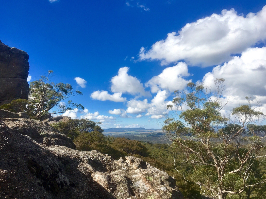 Cathedral Rock National Park景点图片