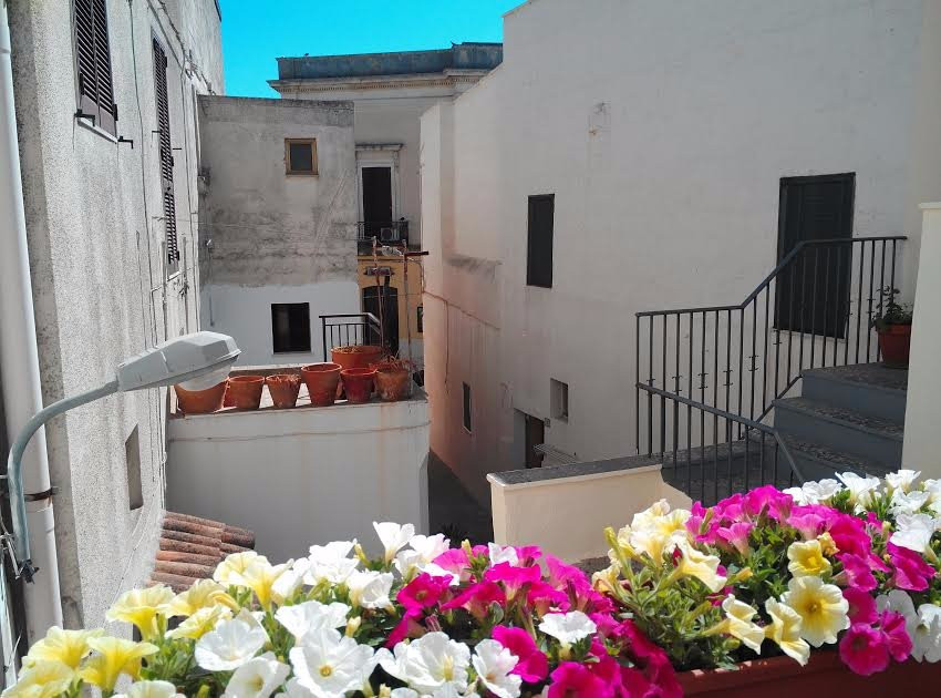 Porto Tricase酒店住宿-Campacavallo B&B