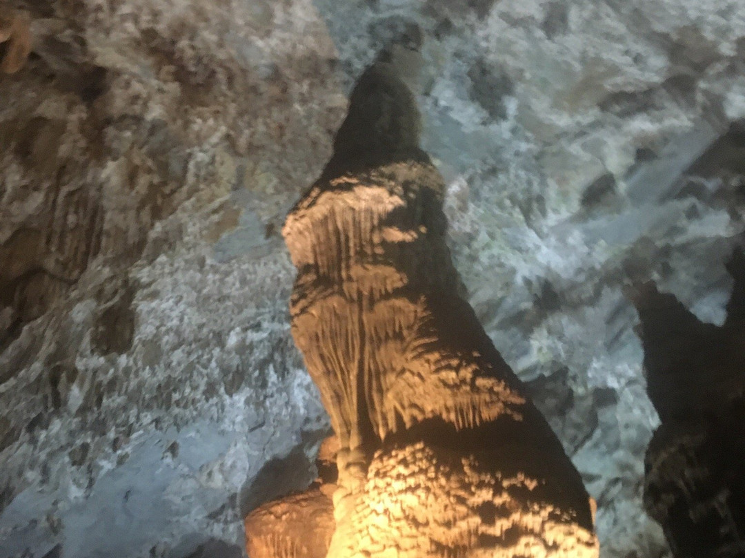 Dong Hoi - Phong Nha Cave Tours景点图片