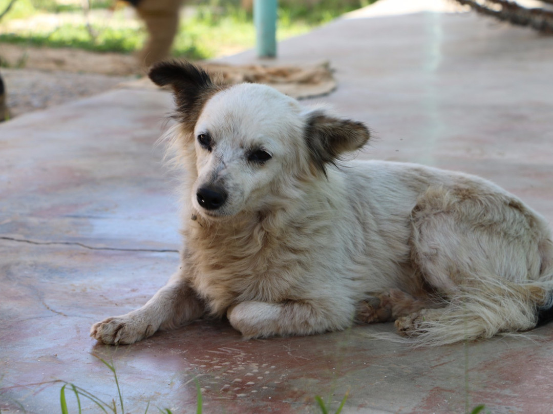 Casa Los Rivera主图