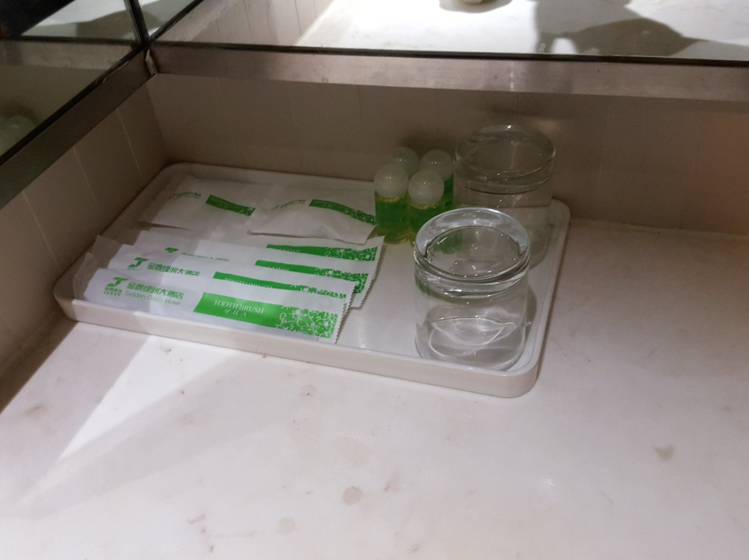 金泰绿洲大酒店主图