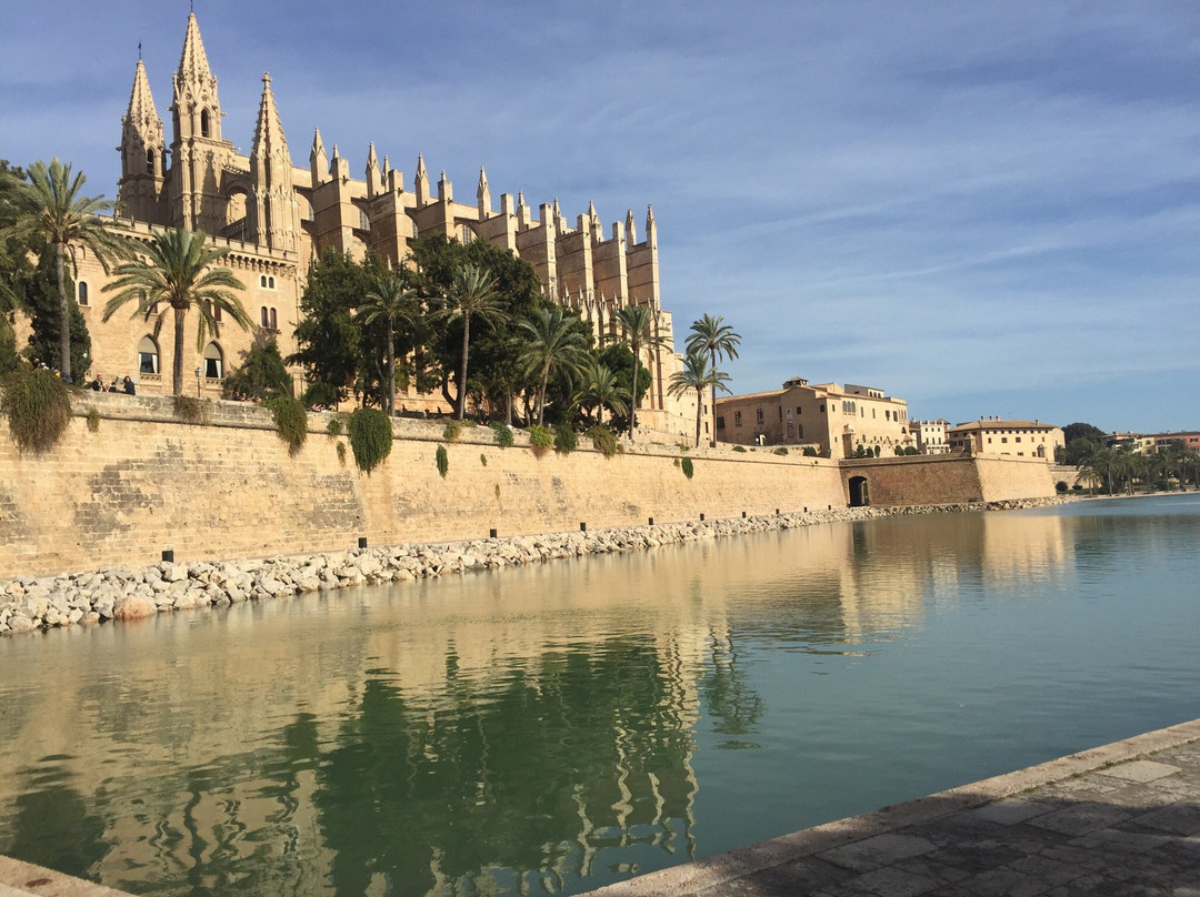Palma Di Maiorca景点图片