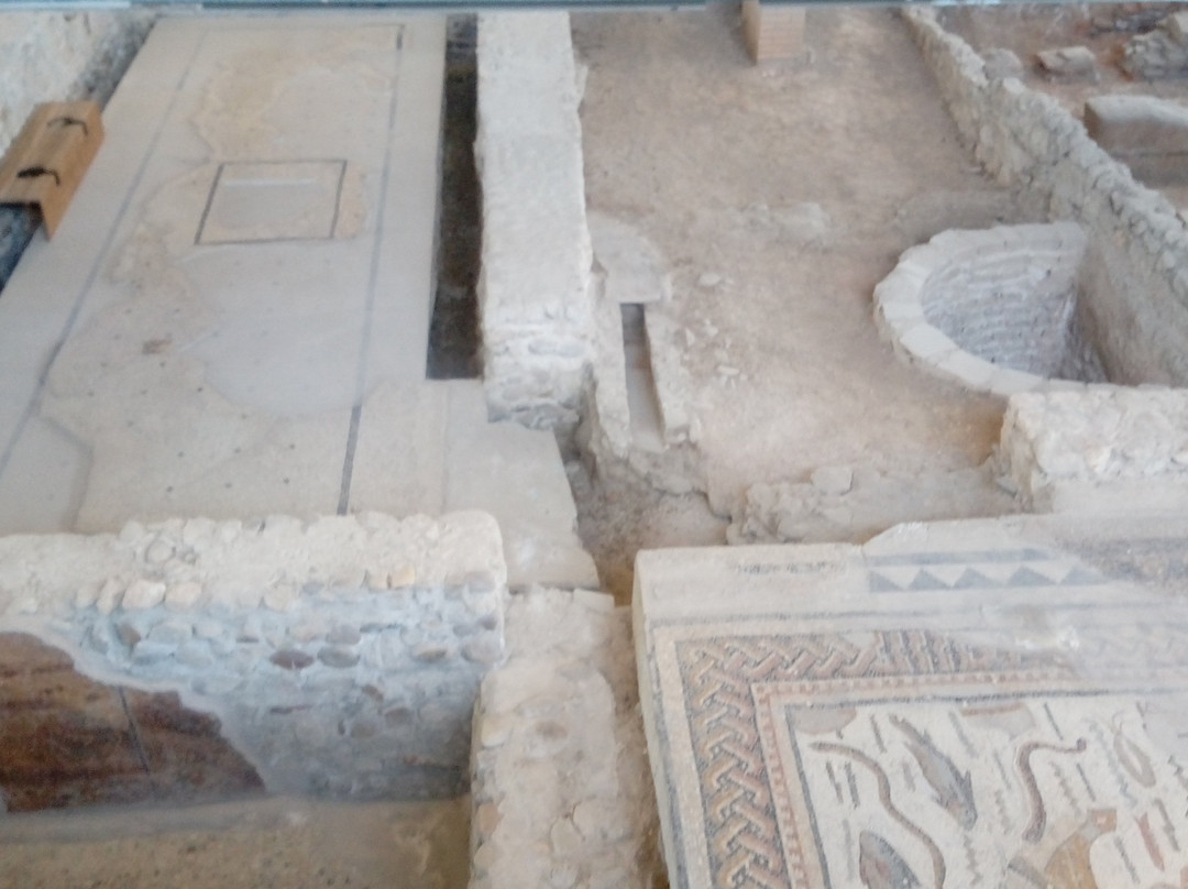 Parque Arqueologico La Casa de Hippolytus-阿尔卡拉-德-哈纳雷斯必去景点