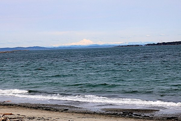 Willows Park-维多利亚必去景点