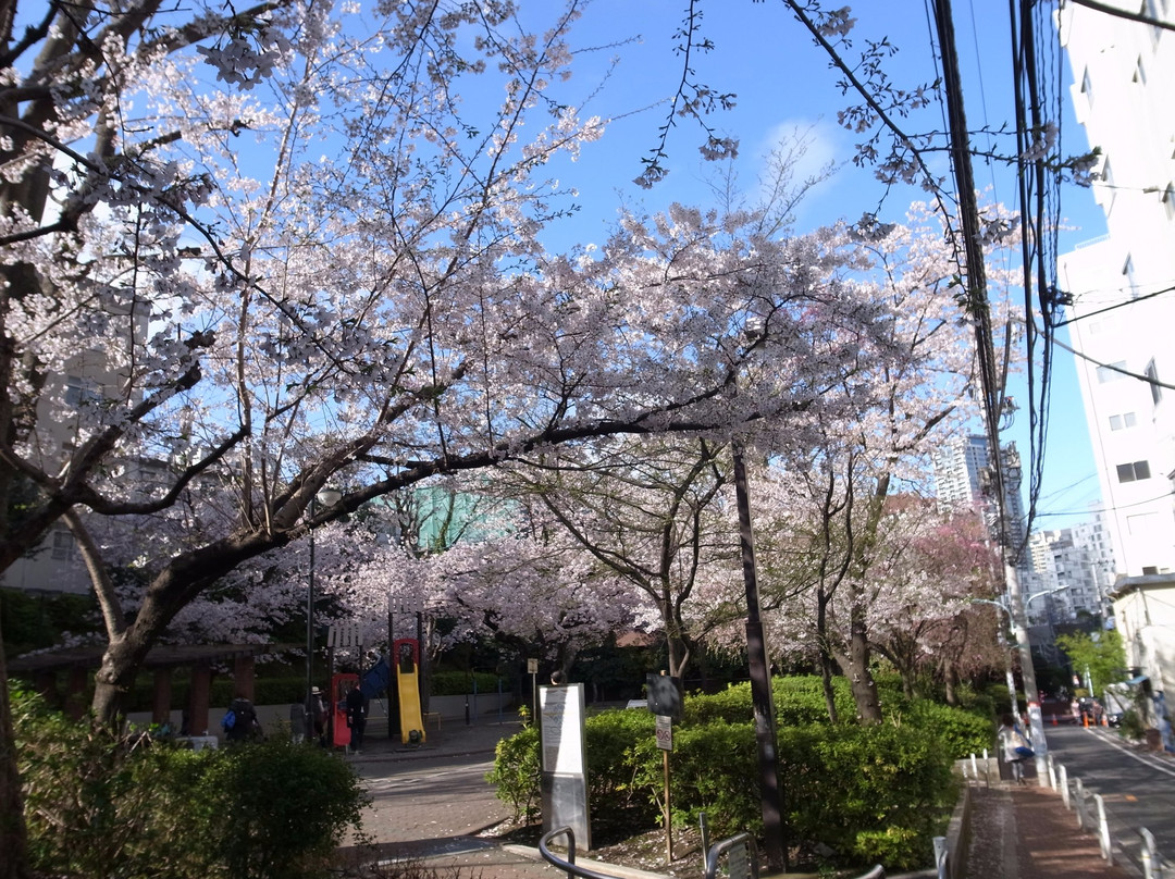 Mikawadai Park-Roppongi必去景点