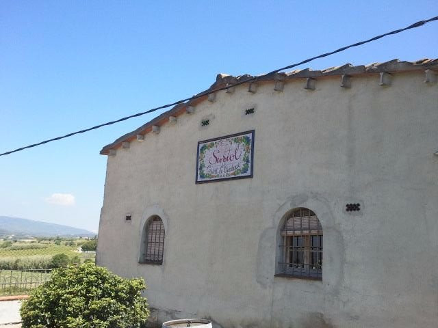 Suriol del Castell  de Grabuac景点图片