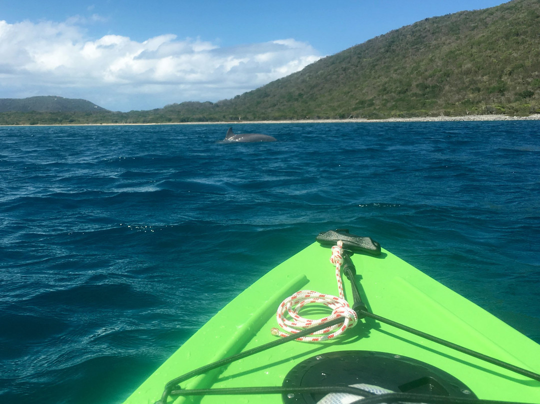 GroundSea Adventures BVI-Road Town必去景点