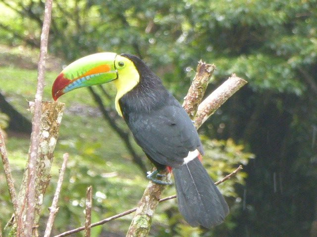 Las Aves de Tierras Altas景点图片