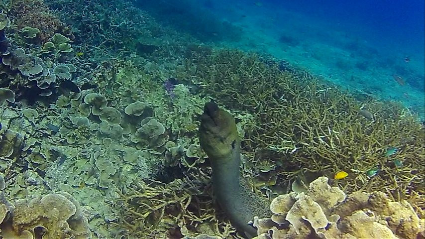 DiveAsia Tioman-刁曼岛必去景点