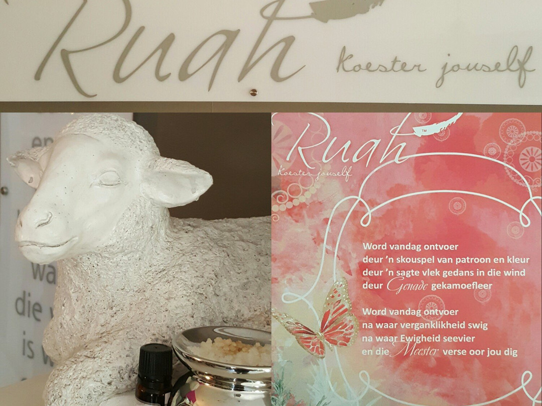 Anja & Friends-克拉伦斯必去景点