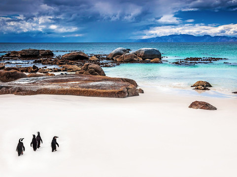 PlacetoPlace-斯泰伦博斯必去景点