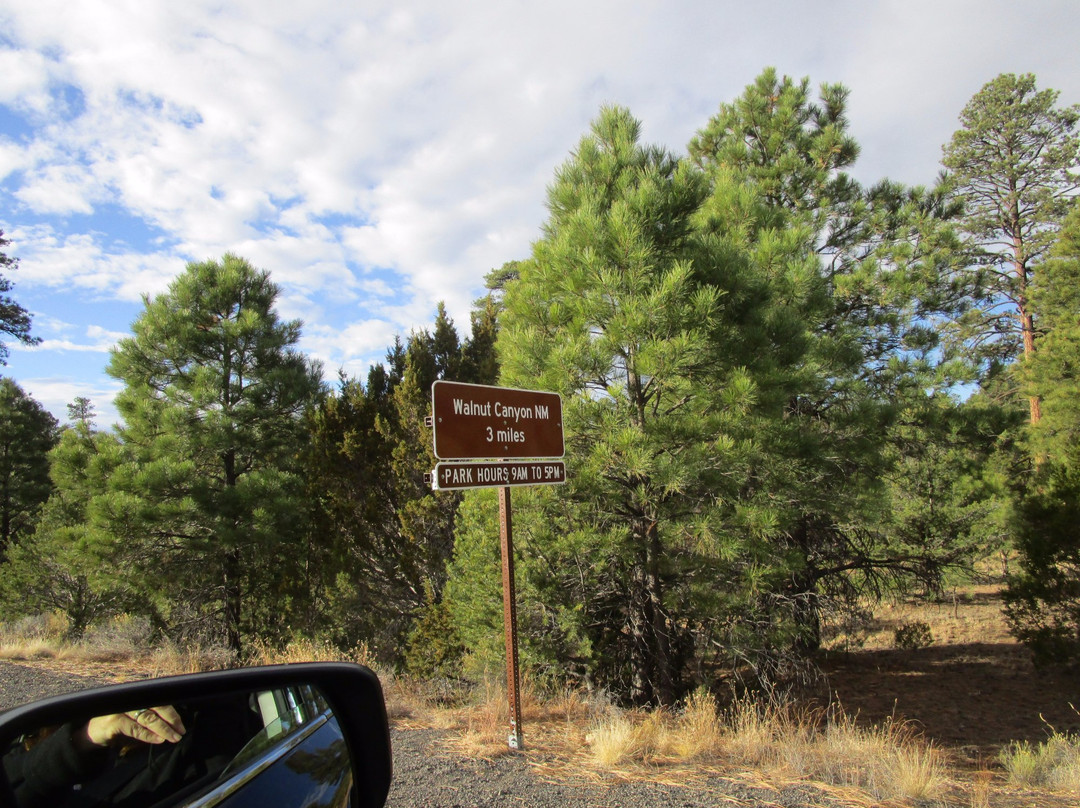 Walnut Canyon Drive-弗拉格斯塔夫必去景点