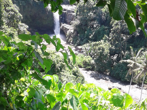 Wayan Trans Bali-登巴萨必去景点