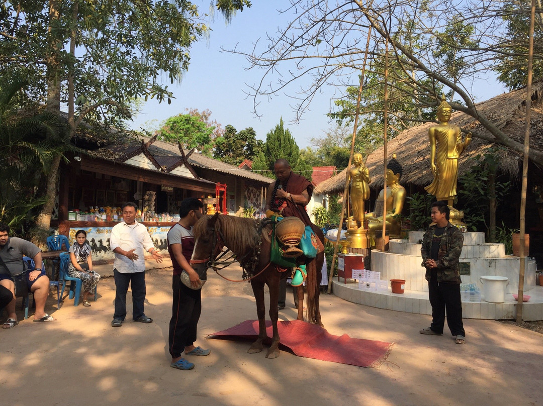 Wat Tam Pa Ar-Cha Thong-夜占必去景点