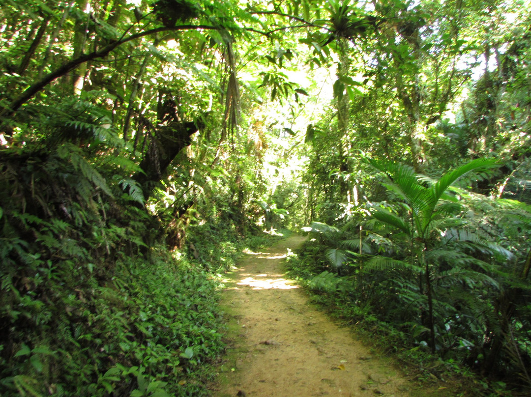 Botuvera旅游景点-Parque das Grutas e Cavernas de Botuverá