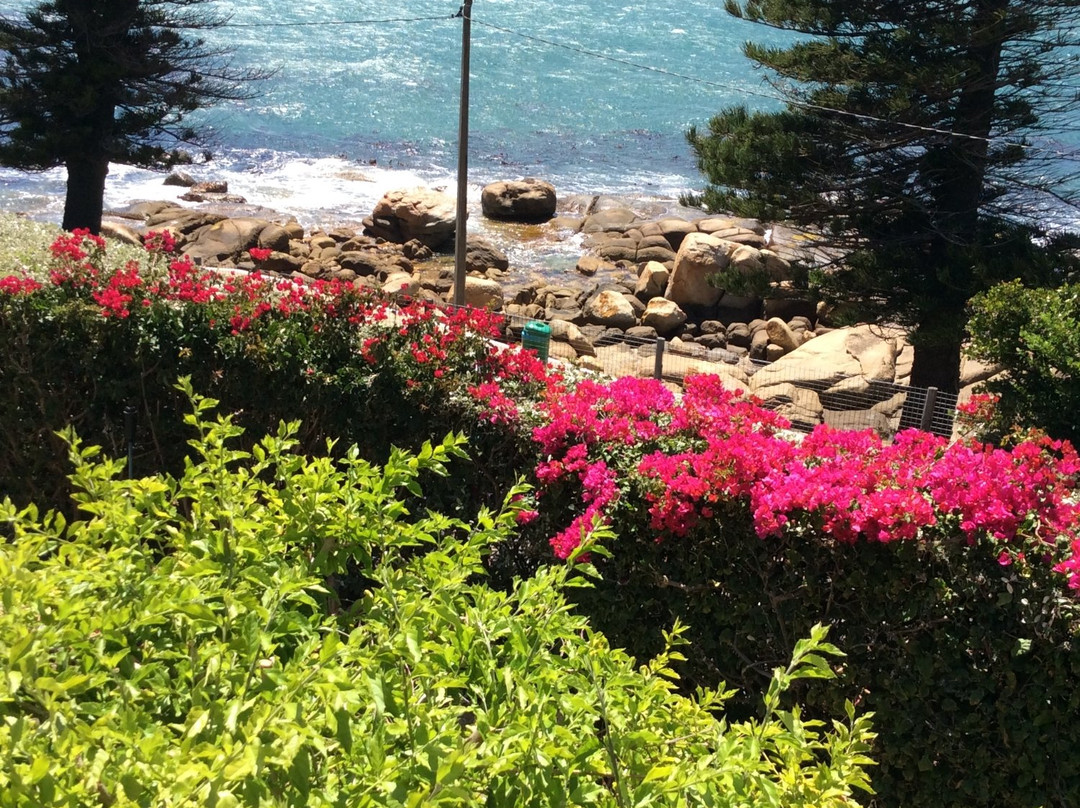 Paradise On the Bay