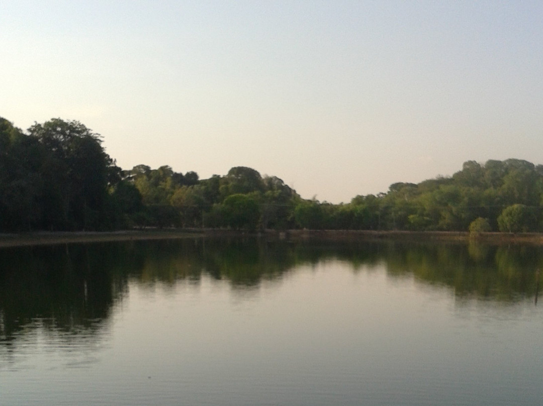 Parque Florestal de Sinop景点图片