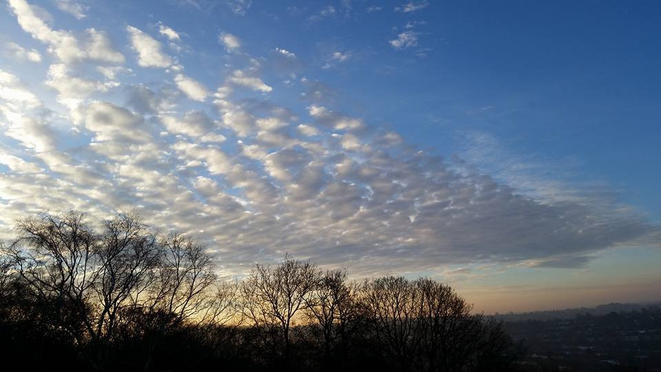 Croham Hurst Woods景点图片