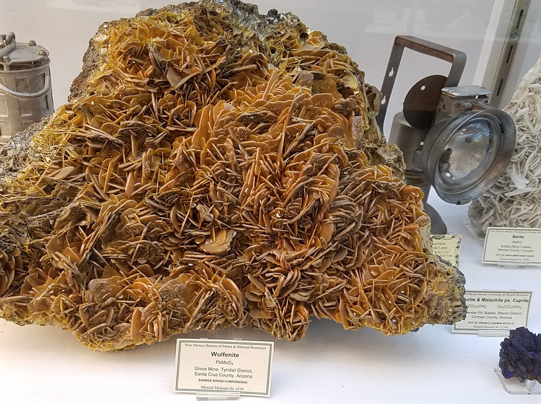 Mineralogical Museum-索科罗必去景点