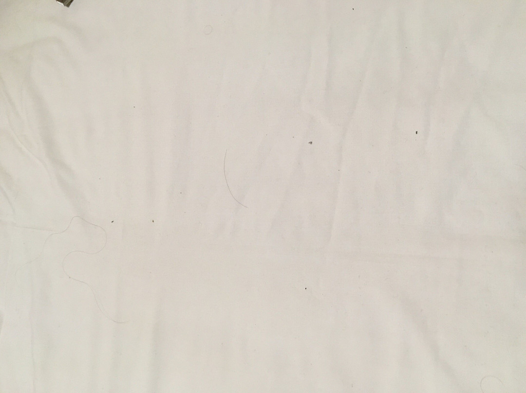 The Castle / Y Castell Pwllheli主图