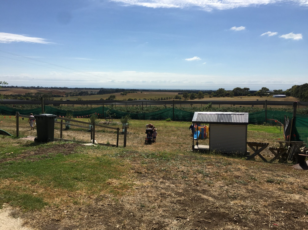 Tuckerberry Hill Blueberry Farm-Drysdale必去景点